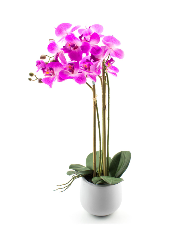 Mor Saksılı Orkide 84 cm